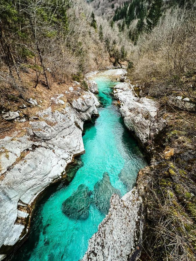 Apartments Mala Korita Soce Soča Εξωτερικό φωτογραφία