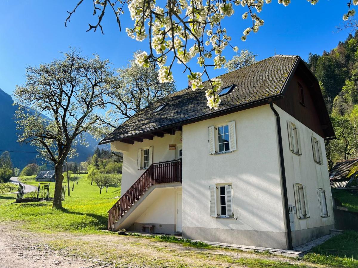 Apartments Mala Korita Soce Soča Εξωτερικό φωτογραφία