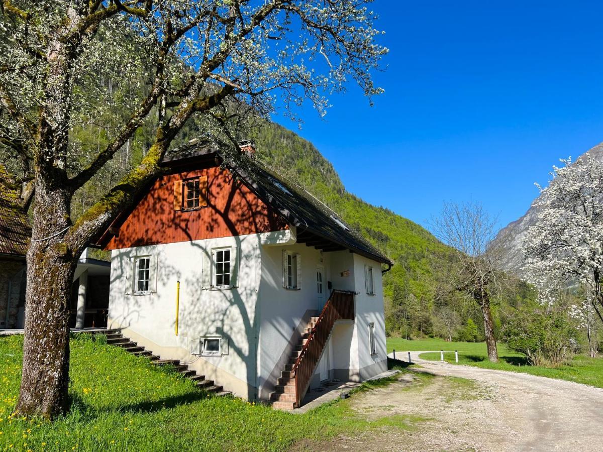 Apartments Mala Korita Soce Soča Εξωτερικό φωτογραφία