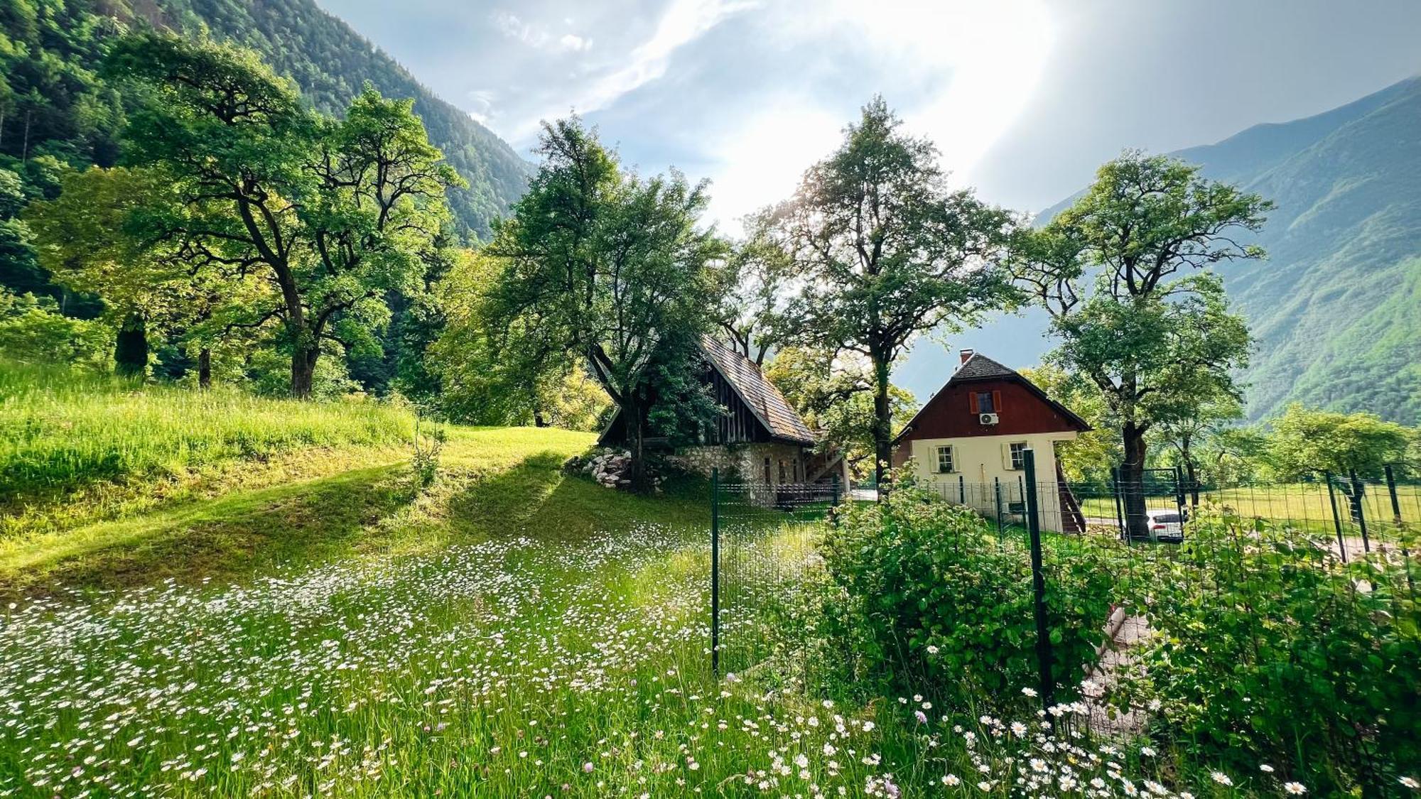 Apartments Mala Korita Soce Soča Εξωτερικό φωτογραφία