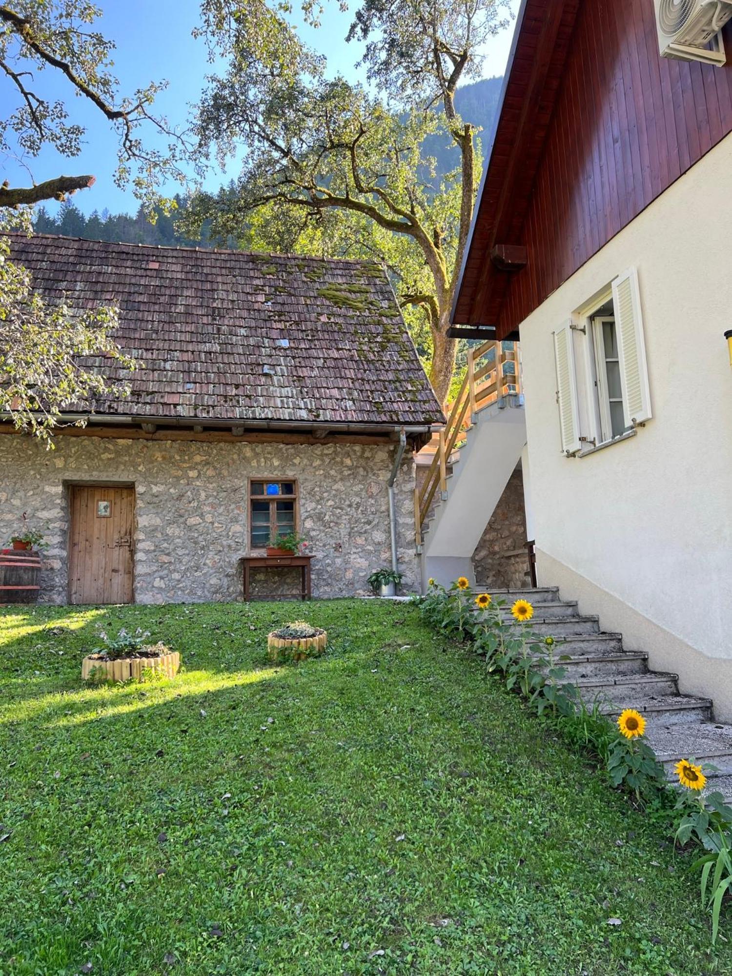 Apartments Mala Korita Soce Soča Εξωτερικό φωτογραφία