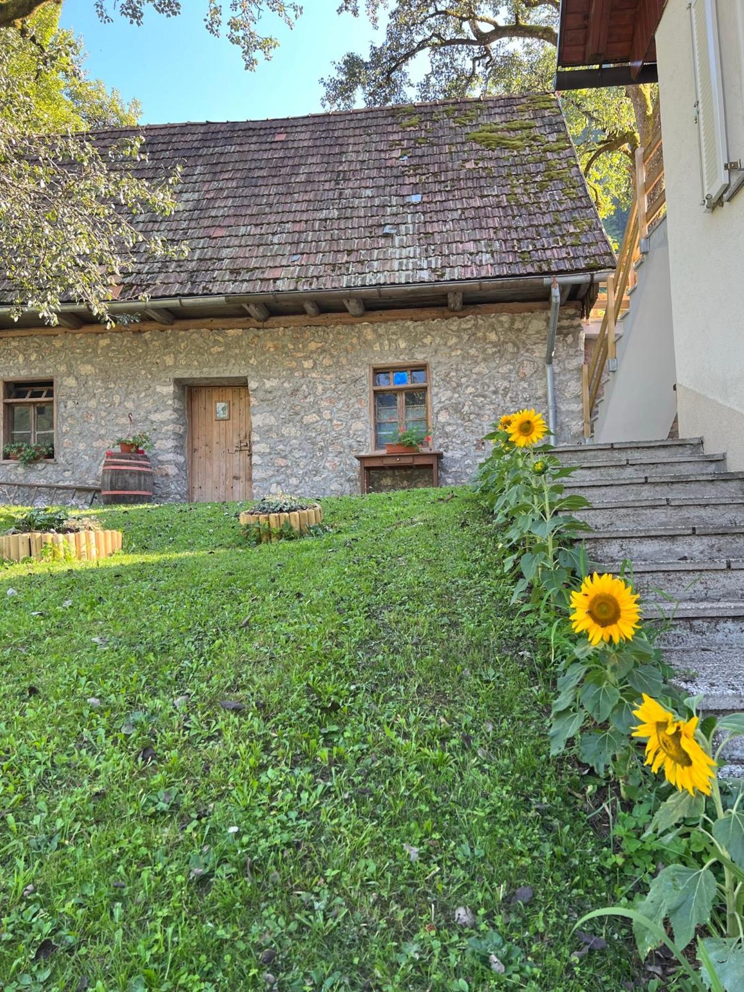 Apartments Mala Korita Soce Soča Εξωτερικό φωτογραφία