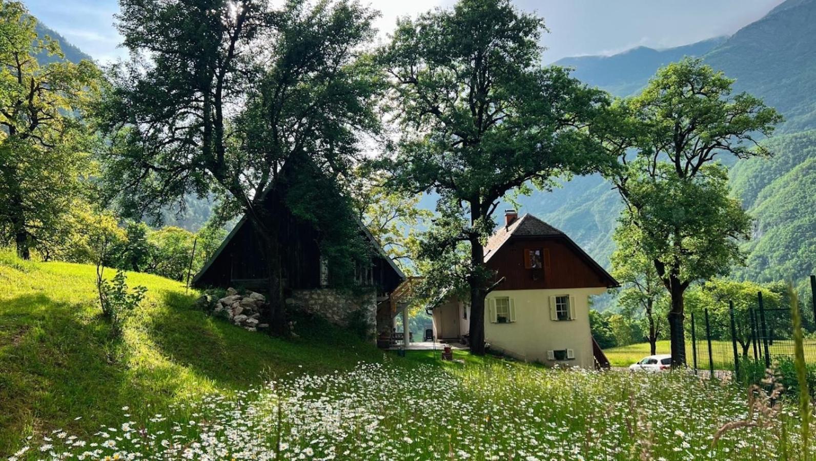 Apartments Mala Korita Soce Soča Εξωτερικό φωτογραφία
